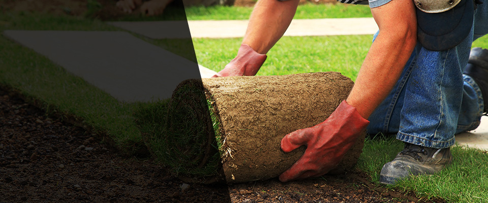 Bernville Landscapers